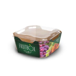 fruit trays with lid 